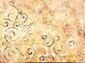 ROSANGELA IMOLESI - Fragmentos - 1997 - Acrilica sobre tela - 60 x 80 cm.jpg